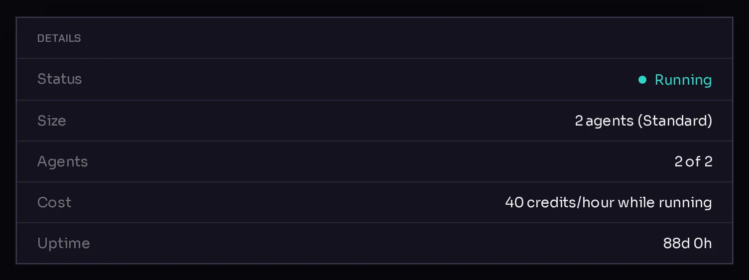 The Overview tab of an environment: its status, size, how many of its agent places are used, its hourly cost, its client and its uptime.