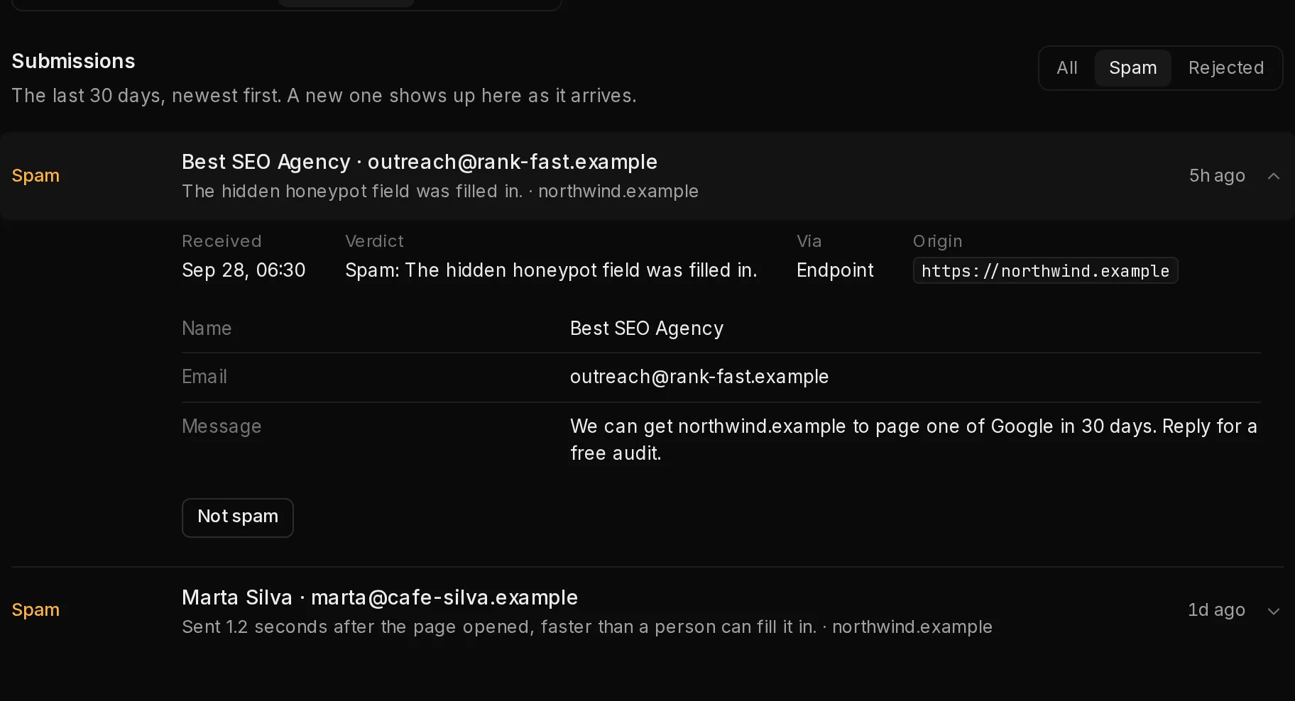 A form's Submissions tab with the Spam filter on: two submissions the spam checks caught, one opened to show its fields and the Not spam button.